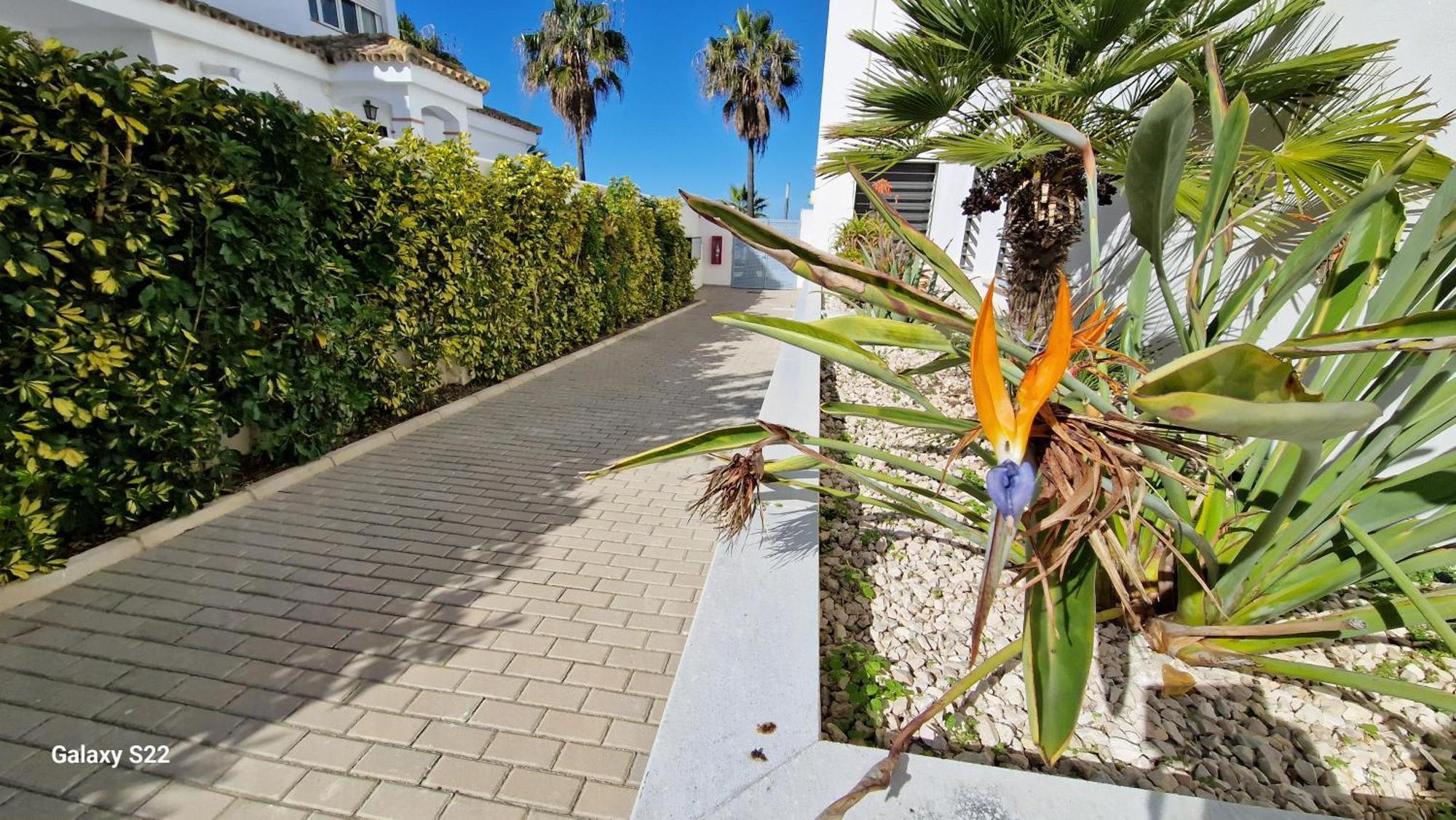 Boutelou Playa Con Vistas Al Mar Apartment Sanlucar de Barrameda Exterior photo